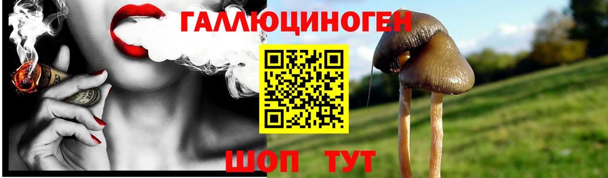 Великие Луки  Галлюциногенные грибы MAGIC MUSHROOMS  Вход с VPN 